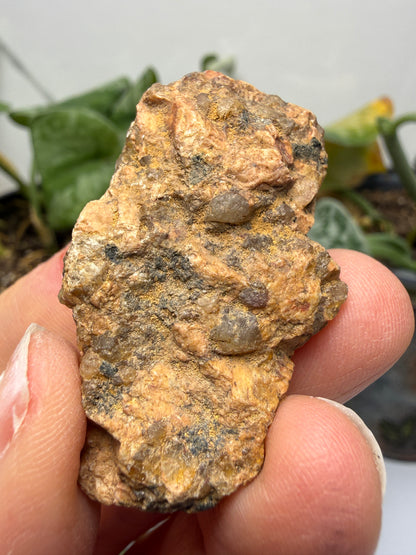 Graphic Granite (Quartz and Feldspar)- Pikes Peak area, El Paso County, Colorado, USA