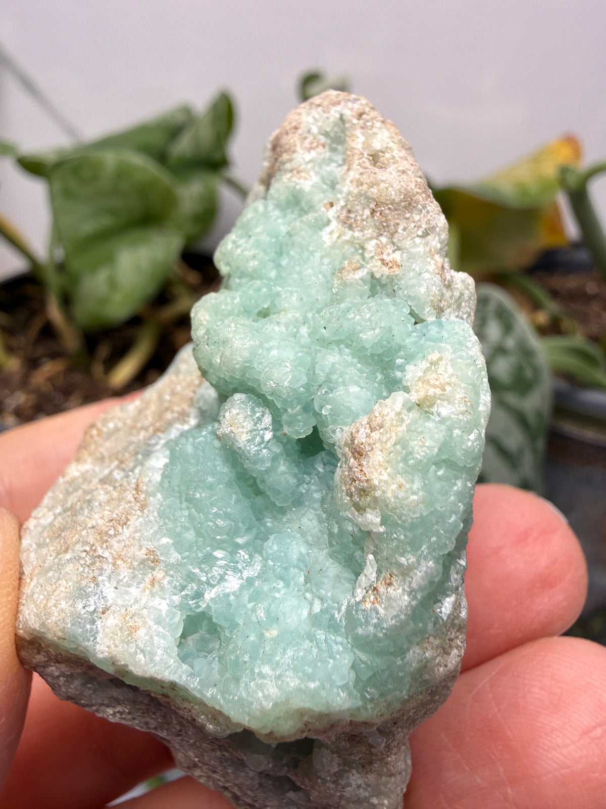 Smithsonite- Maguarichic, Chihuahua, Mexico (historically attributed)/Santa Eulalia (modern attribution)