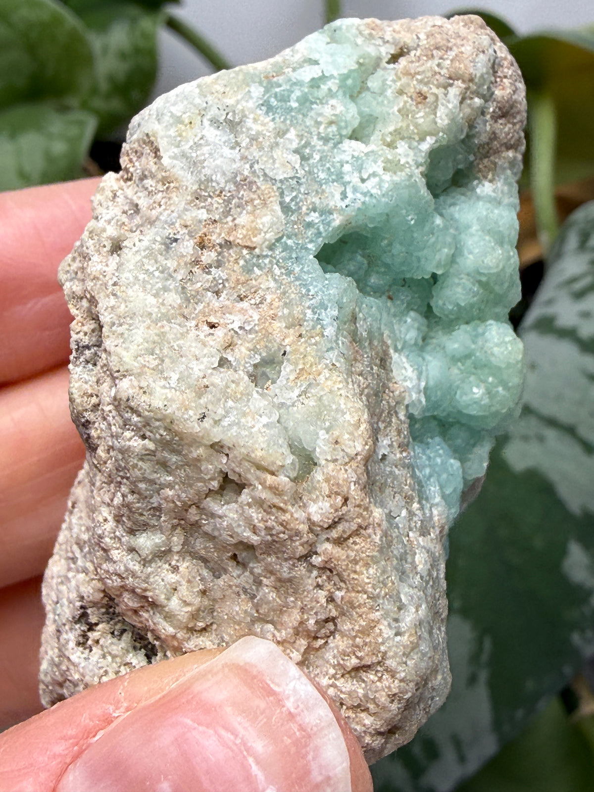 Smithsonite- Maguarichic, Chihuahua, Mexico (historically attributed)/Santa Eulalia (modern attribution)