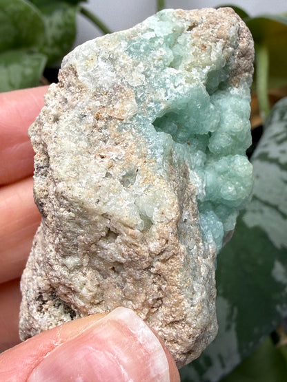 Smithsonite- Maguarichic, Chihuahua, Mexico (historically attributed)/Santa Eulalia (modern attribution)