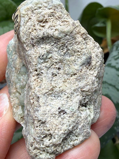 Smithsonite- Maguarichic, Chihuahua, Mexico (historically attributed)/Santa Eulalia (modern attribution)