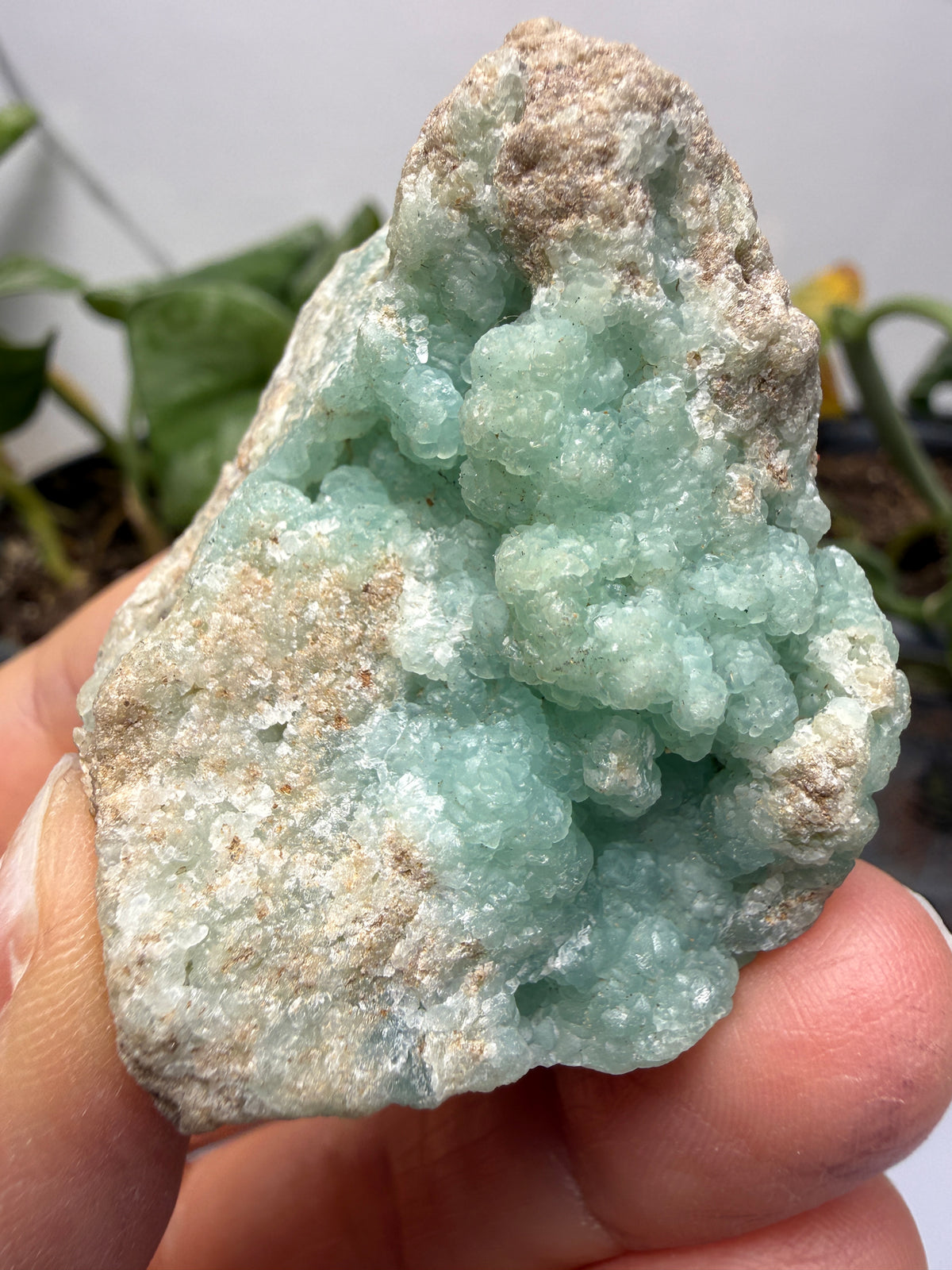 Smithsonite- Maguarichic, Chihuahua, Mexico (historically attributed)/Santa Eulalia (modern attribution)