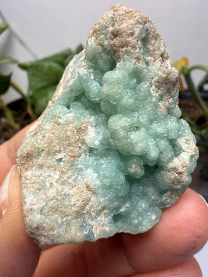 Smithsonite- Maguarichic, Chihuahua, Mexico (historically attributed)/Santa Eulalia (modern attribution)