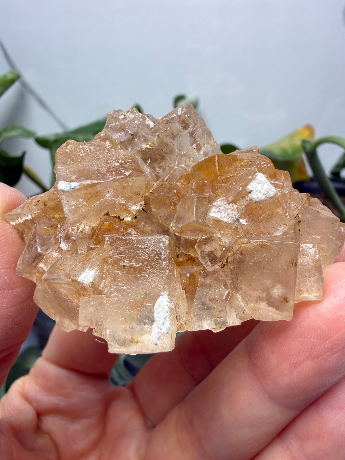 Halite- Salton Sea, Imperial County, California, USA