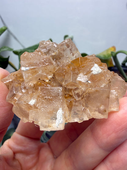Halite- Salton Sea, Imperial County, California, USA