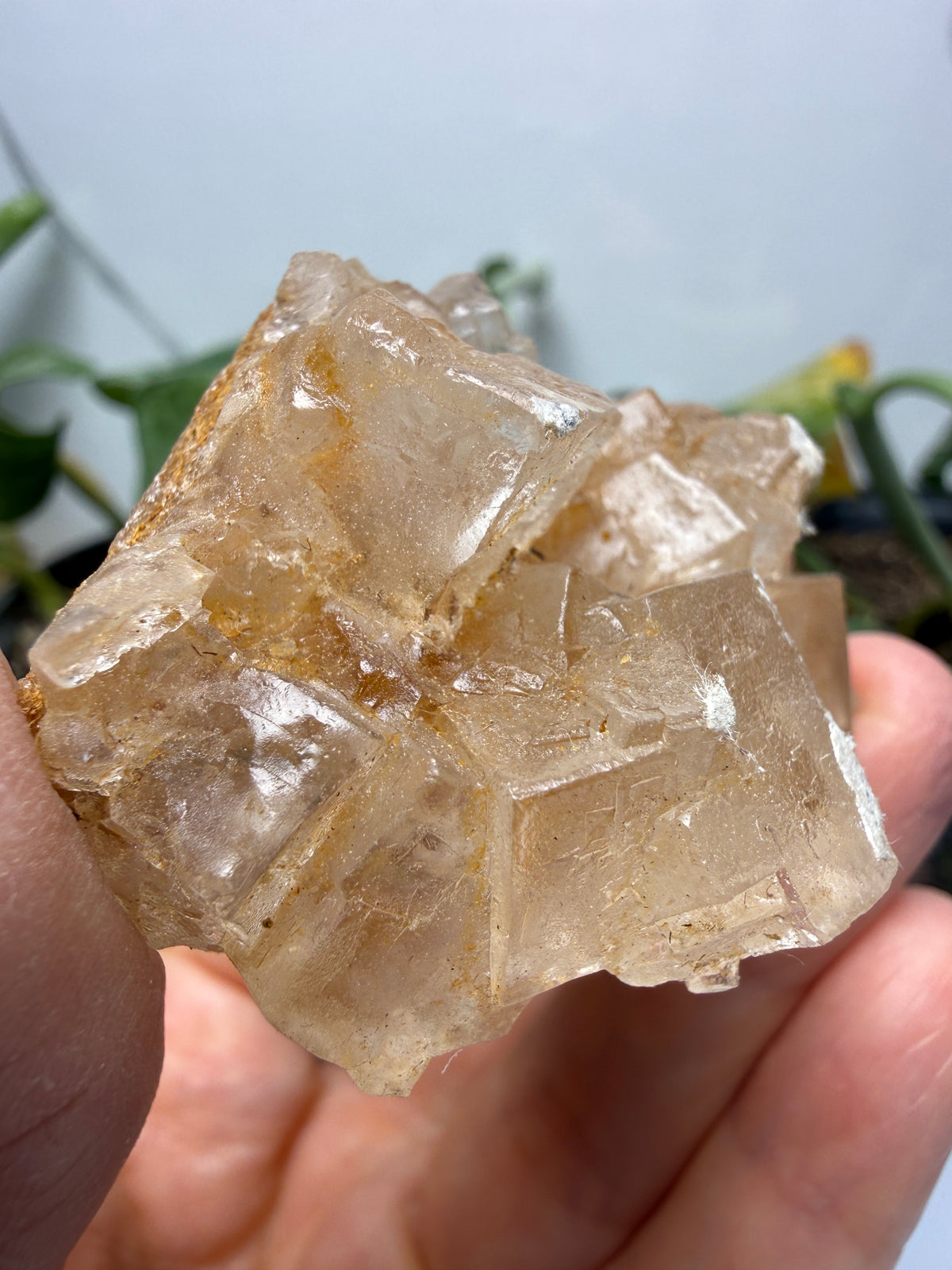 Halite- Salton Sea, Imperial County, California, USA