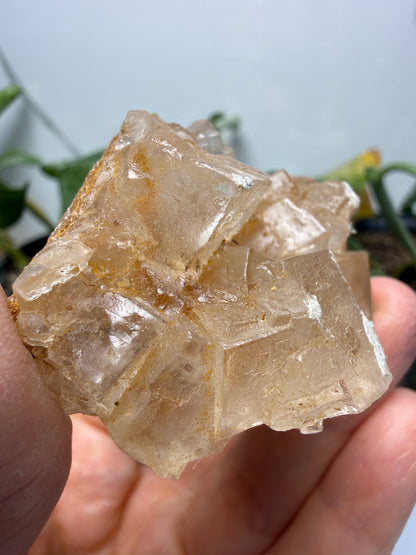Halite- Salton Sea, Imperial County, California, USA