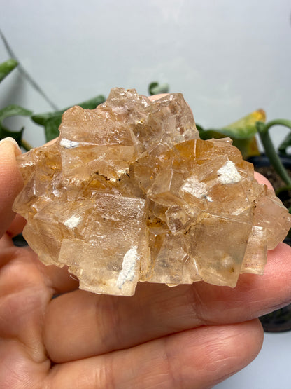 Halite- Salton Sea, Imperial County, California, USA