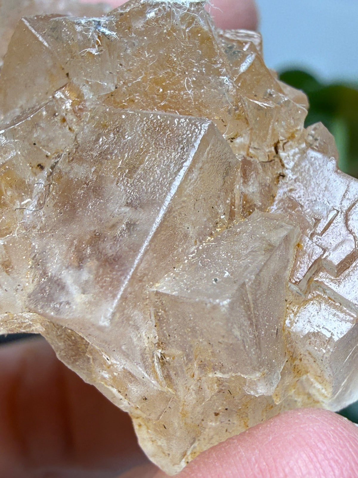 Halite- Salton Sea, Imperial County, California, USA