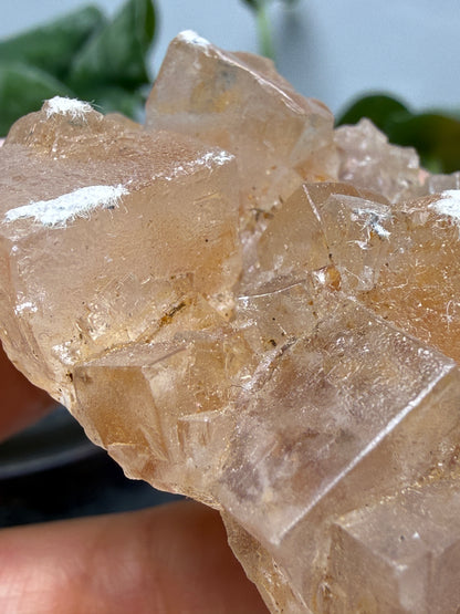 Halite- Salton Sea, Imperial County, California, USA