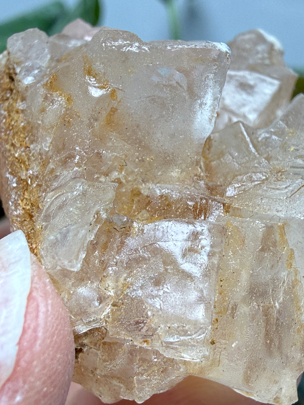 Halite- Salton Sea, Imperial County, California, USA