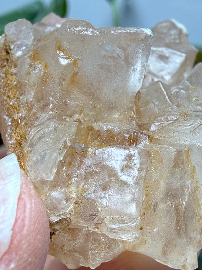 Halite- Salton Sea, Imperial County, California, USA