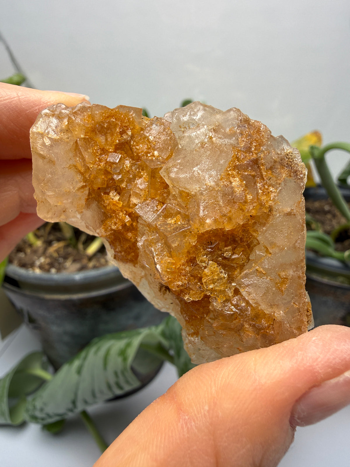 Halite- Salton Sea, Imperial County, California, USA