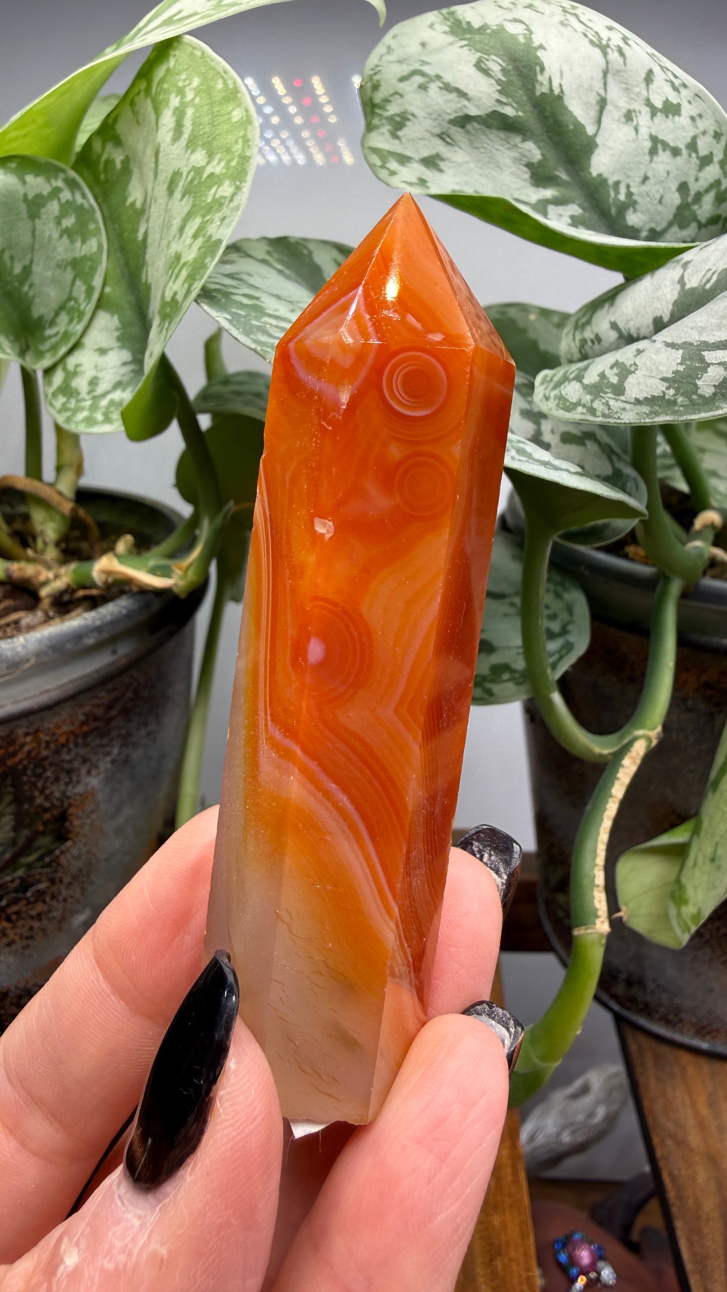 Carnelian Tower
