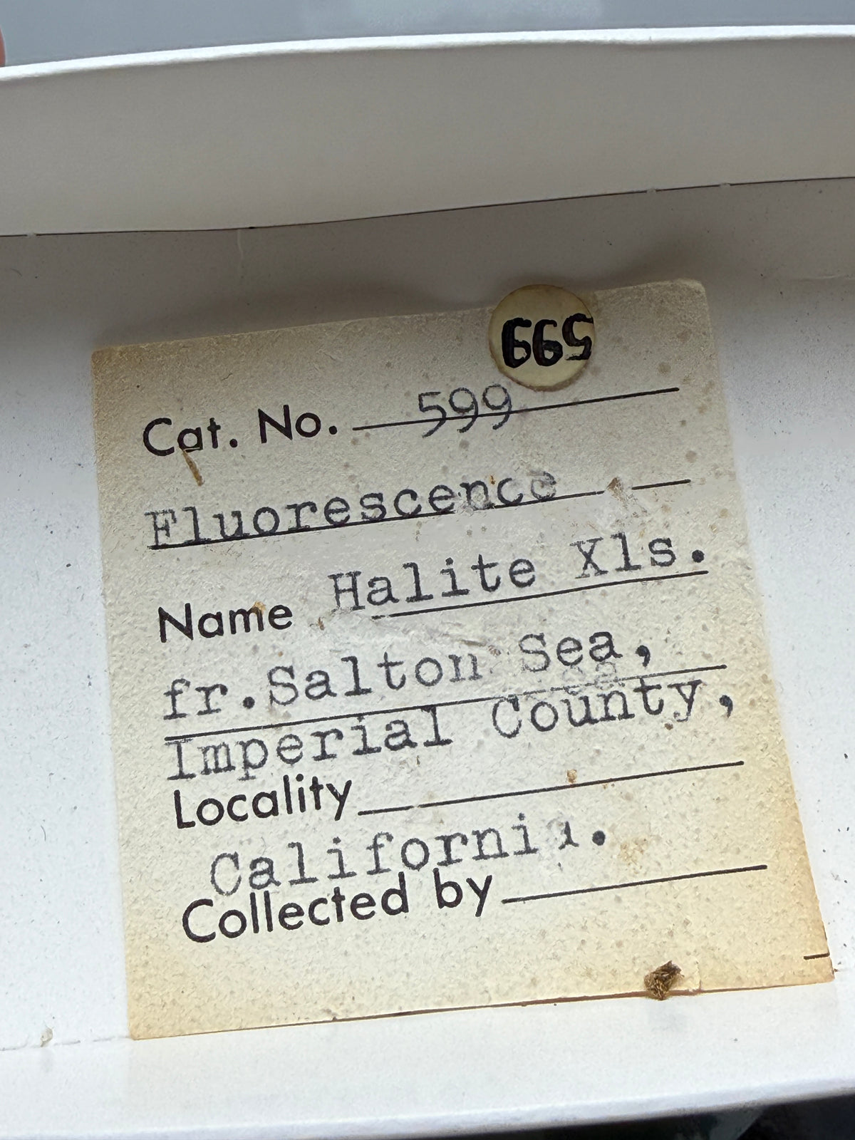 Halite- Salton Sea, Imperial County, California, USA