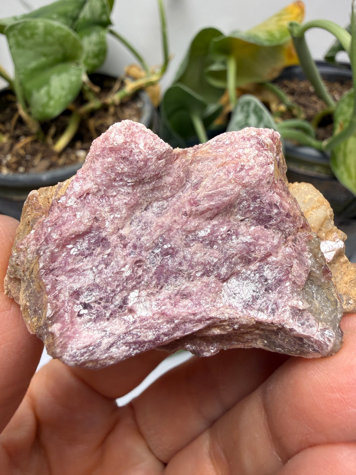 Muscovite with Spodumene and Quartz- Harding Mine, Picuris District, Taos County, New Mexico, USA