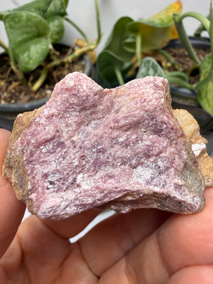 Muscovite with Spodumene and Quartz- Harding Mine, Picuris District, Taos County, New Mexico, USA