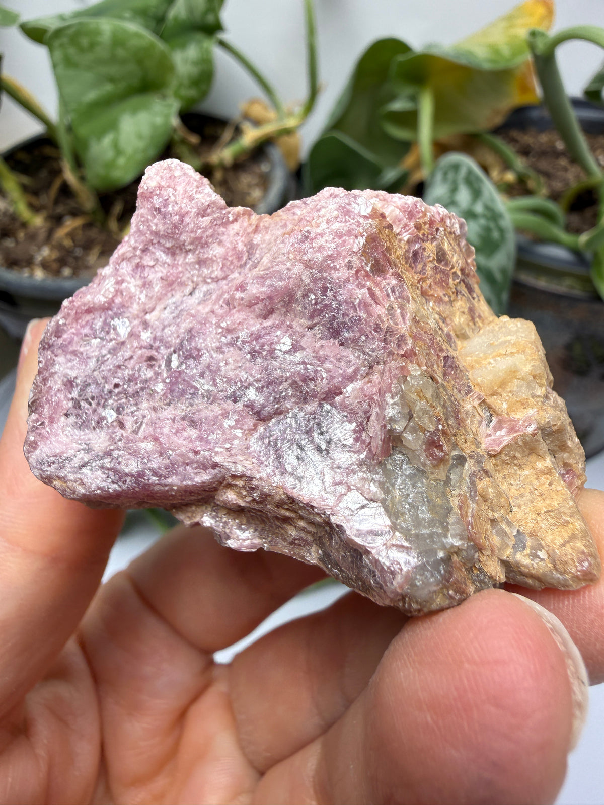 Muscovite with Spodumene and Quartz- Harding Mine, Picuris District, Taos County, New Mexico, USA