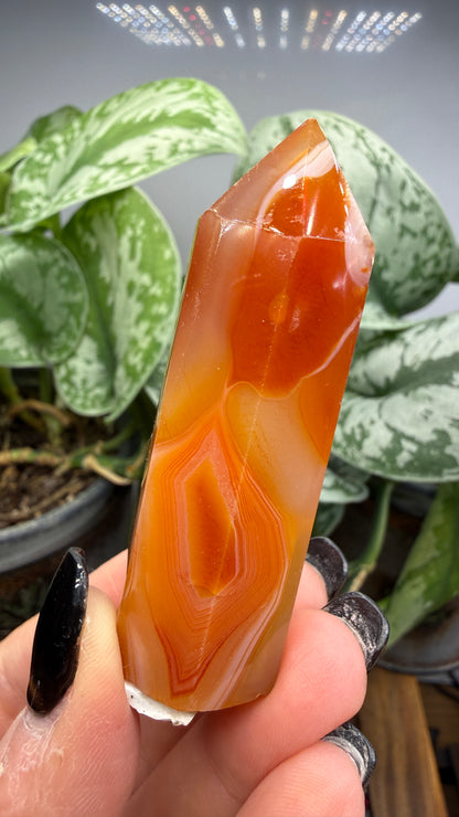 Carnelian Tower