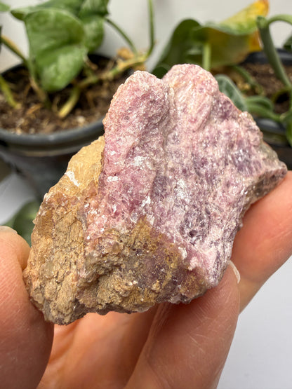 Muscovite with Spodumene and Quartz- Harding Mine, Picuris District, Taos County, New Mexico, USA