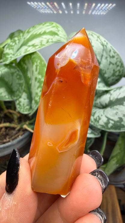 Carnelian Tower