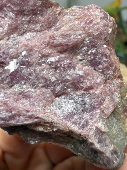 Muscovite with Spodumene and Quartz- Harding Mine, Picuris District, Taos County, New Mexico, USA