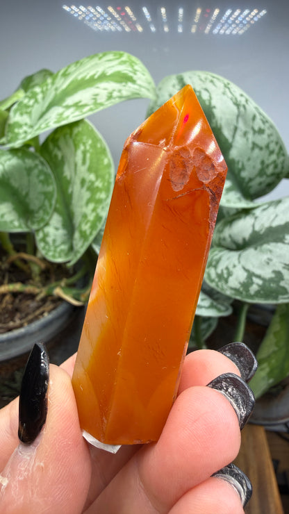 Carnelian Tower