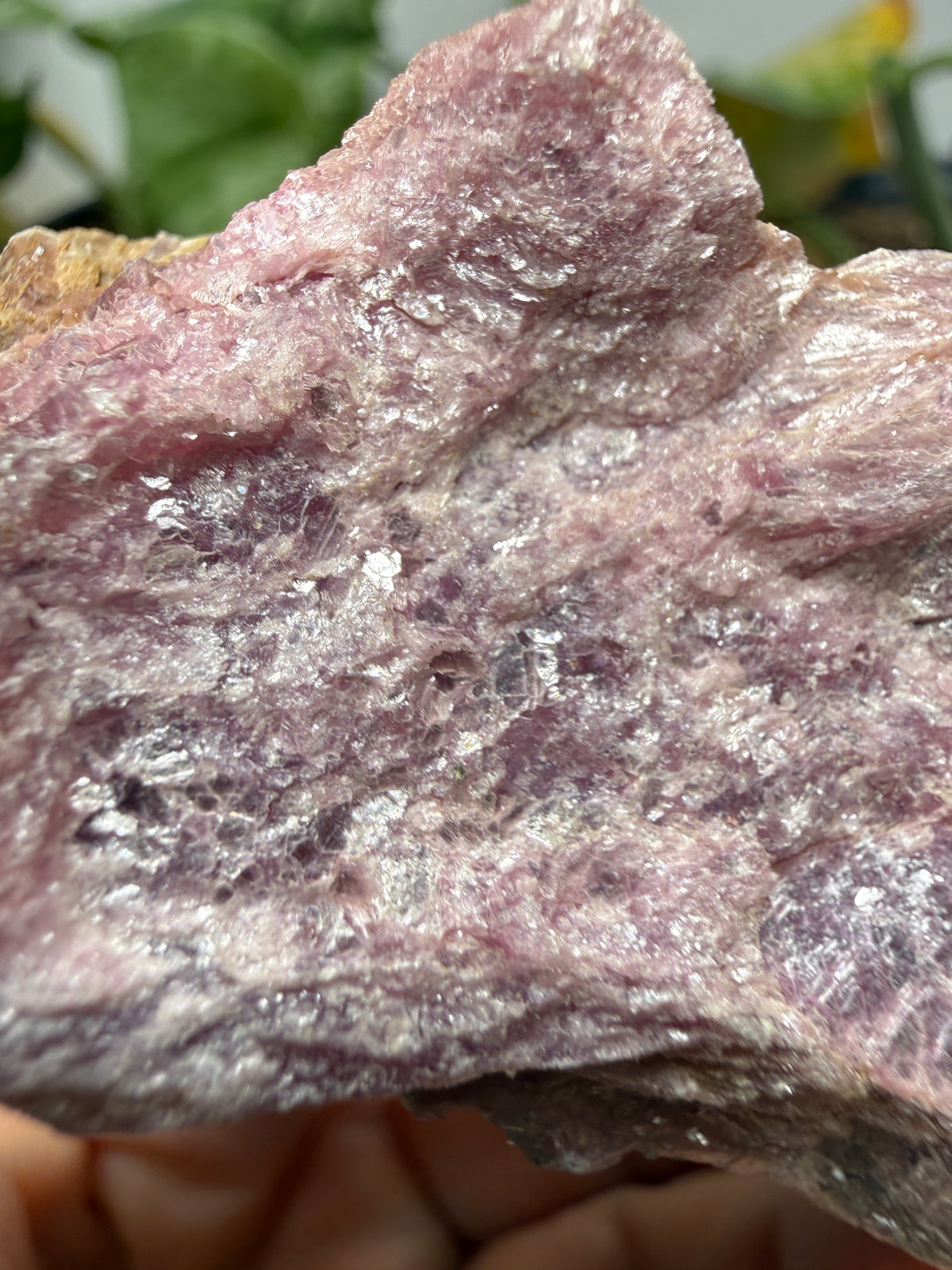 Muscovite with Spodumene and Quartz- Harding Mine, Picuris District, Taos County, New Mexico, USA