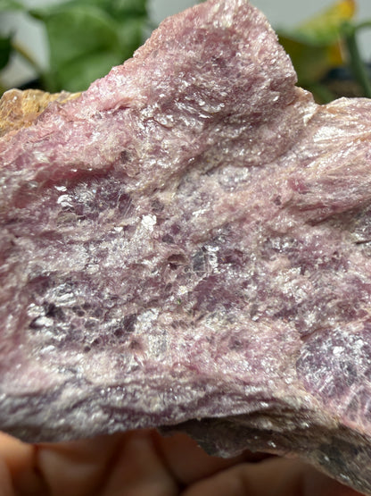 Muscovite with Spodumene and Quartz- Harding Mine, Picuris District, Taos County, New Mexico, USA