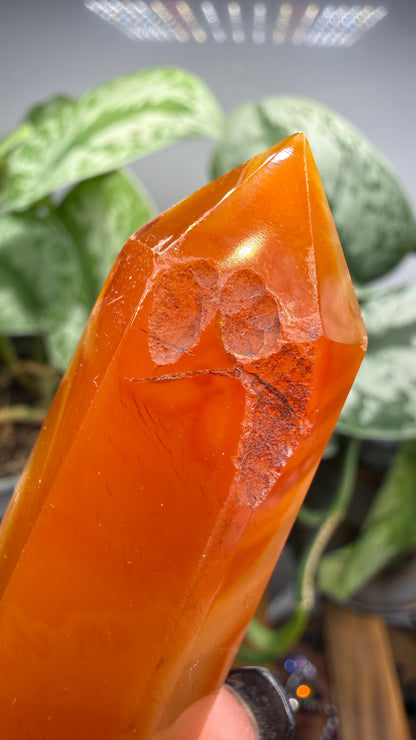 Carnelian Tower