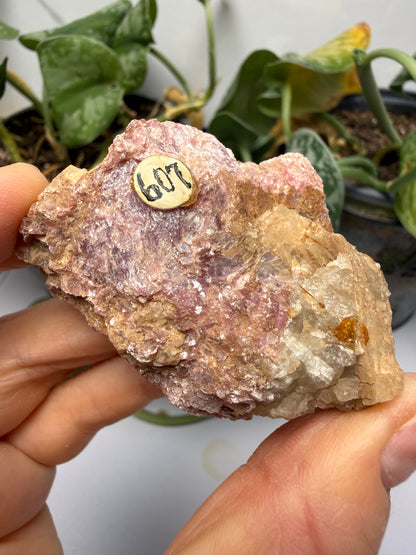 Muscovite with Spodumene and Quartz- Harding Mine, Picuris District, Taos County, New Mexico, USA