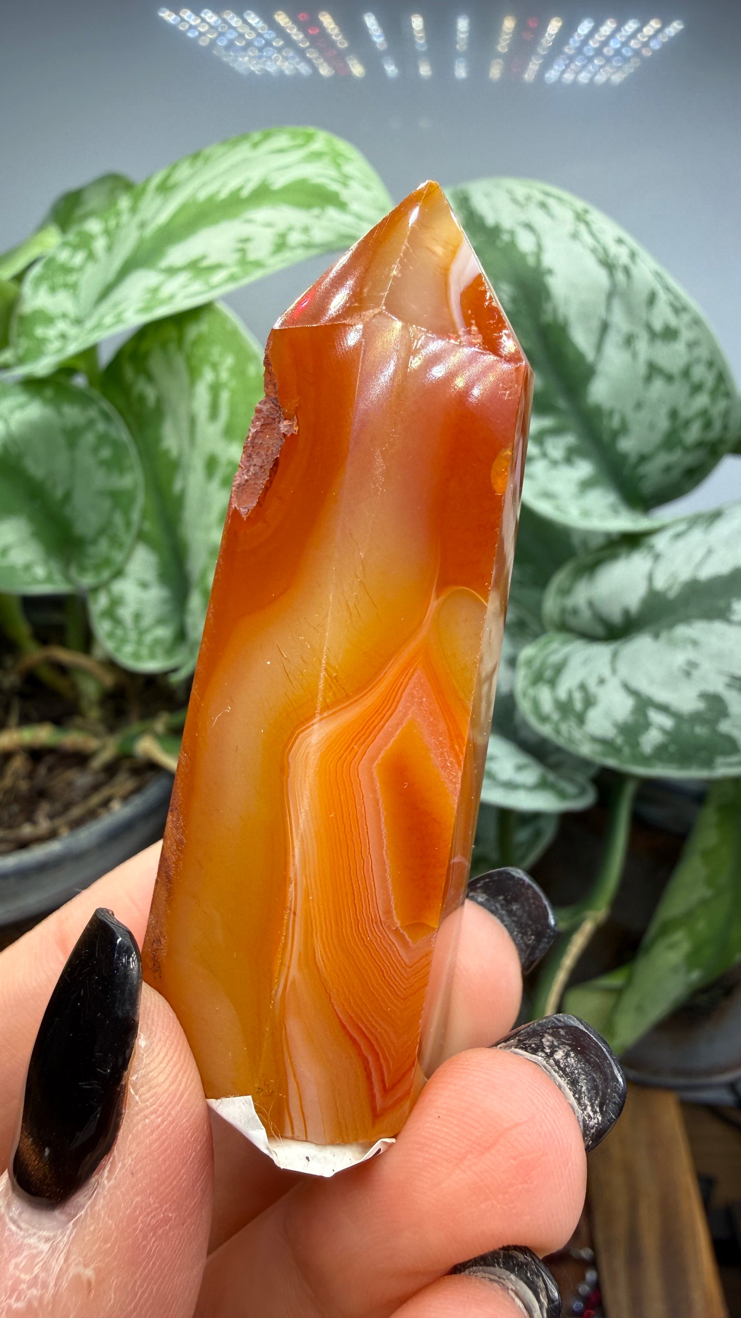 Carnelian Tower