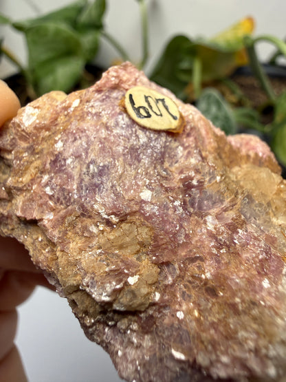Muscovite with Spodumene and Quartz- Harding Mine, Picuris District, Taos County, New Mexico, USA