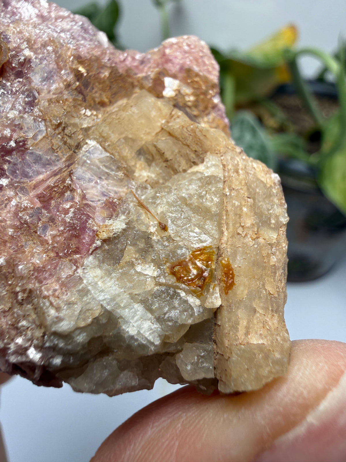 Muscovite with Spodumene and Quartz- Harding Mine, Picuris District, Taos County, New Mexico, USA
