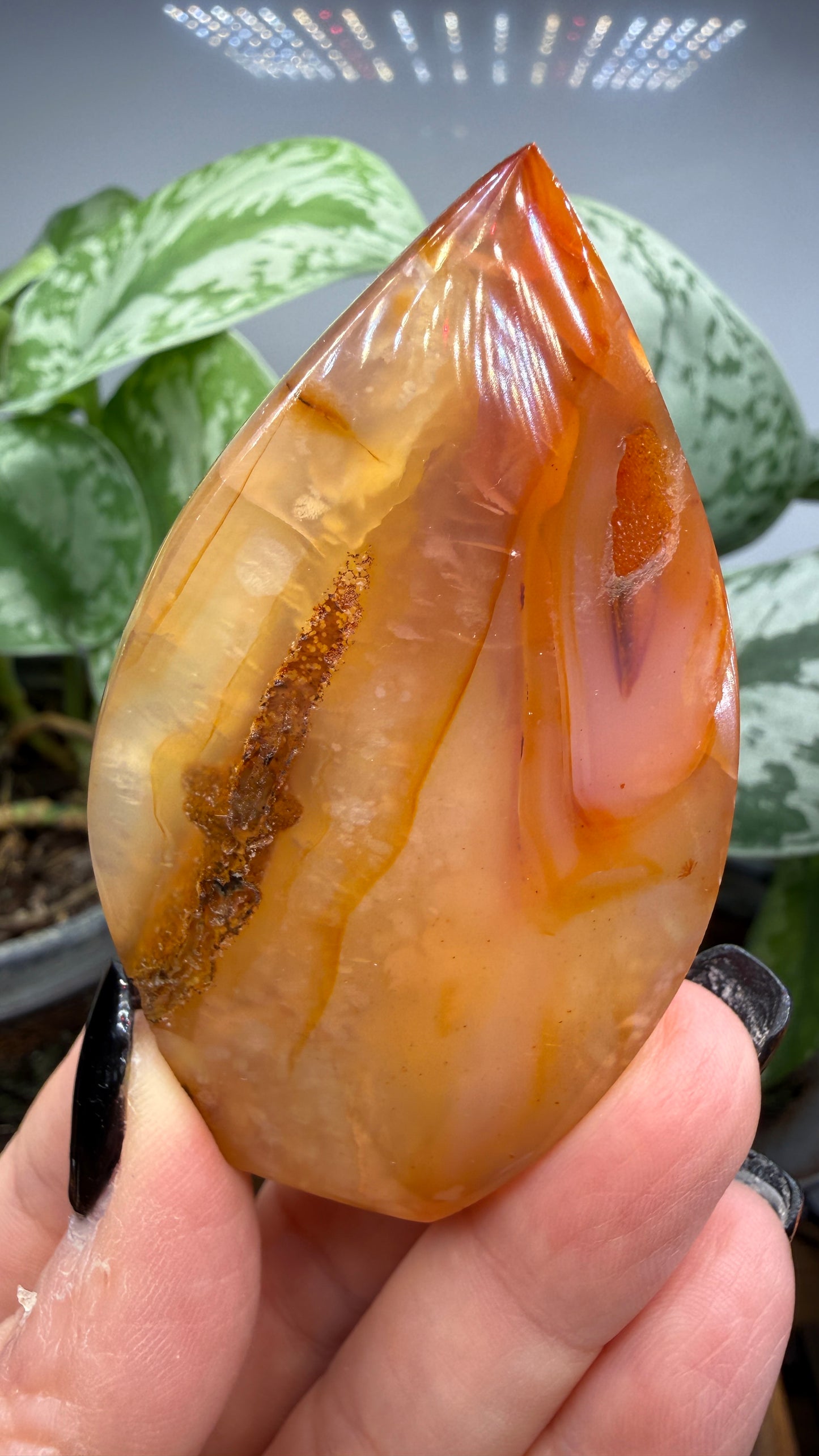 Carnelian Flame