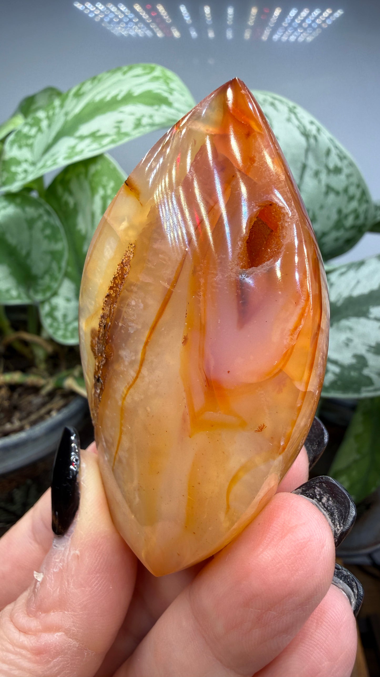 Carnelian Flame