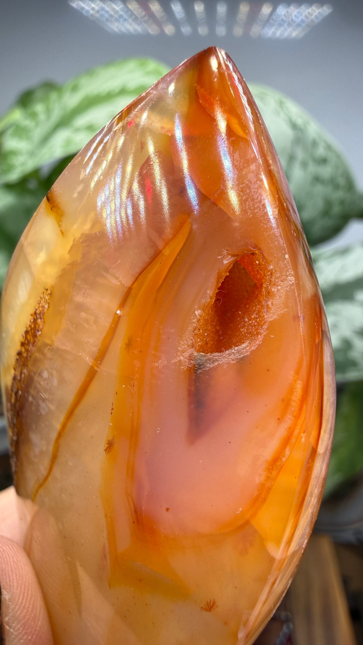 Carnelian Flame