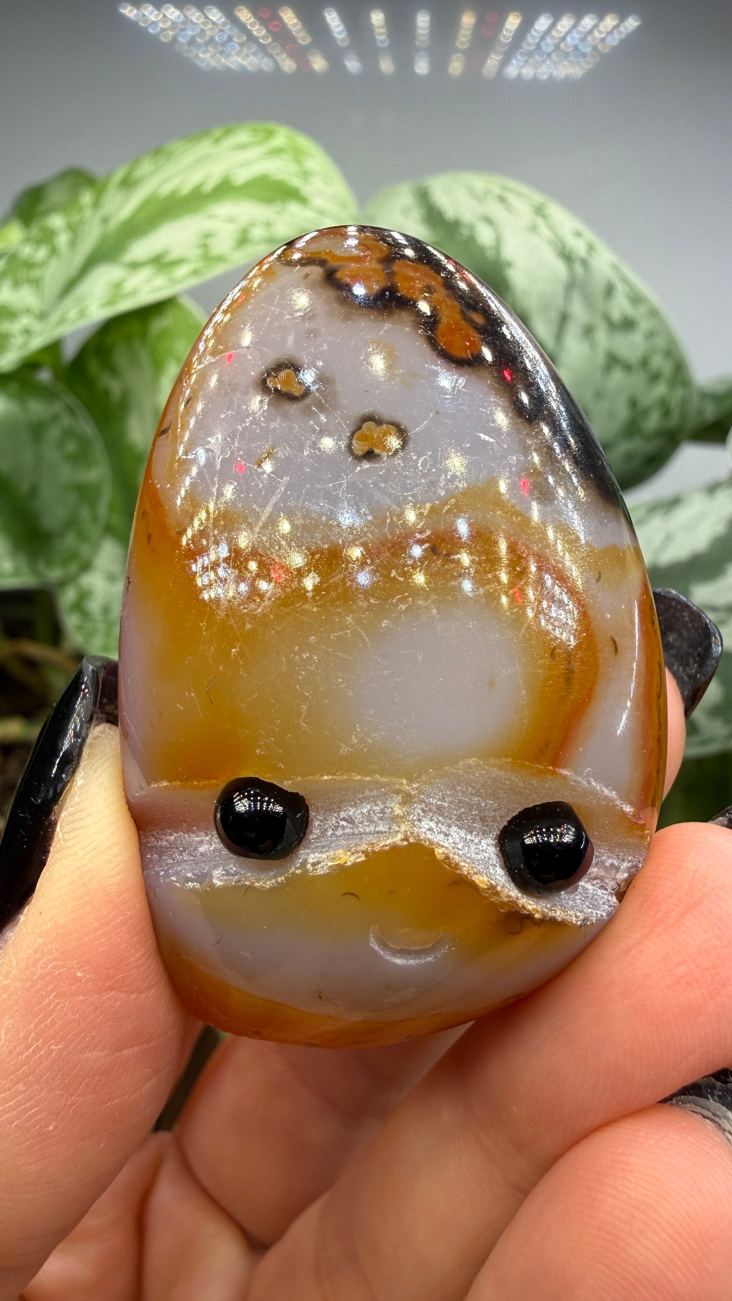 Carnelian Crystal Buddy