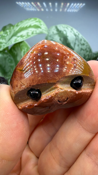 Desert Jasper Crystal Buddy