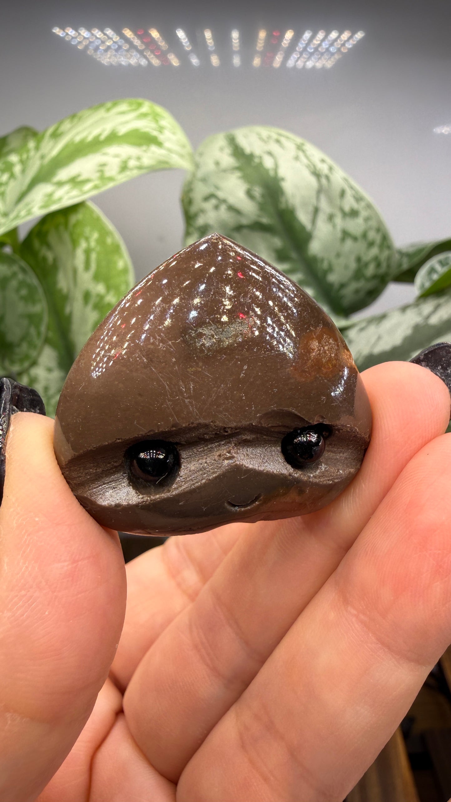 Desert Jasper Crystal Buddy