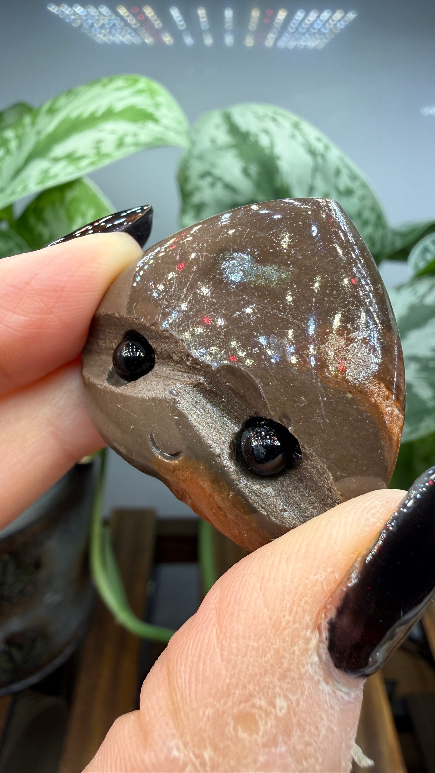 Desert Jasper Crystal Buddy