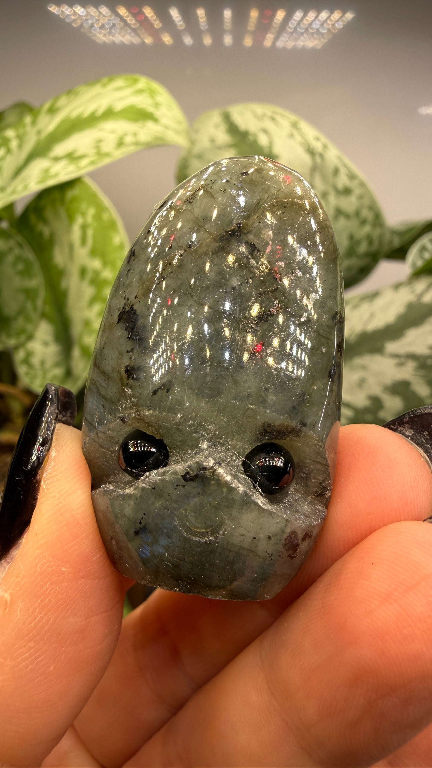 Labradorite Crystal Buddy
