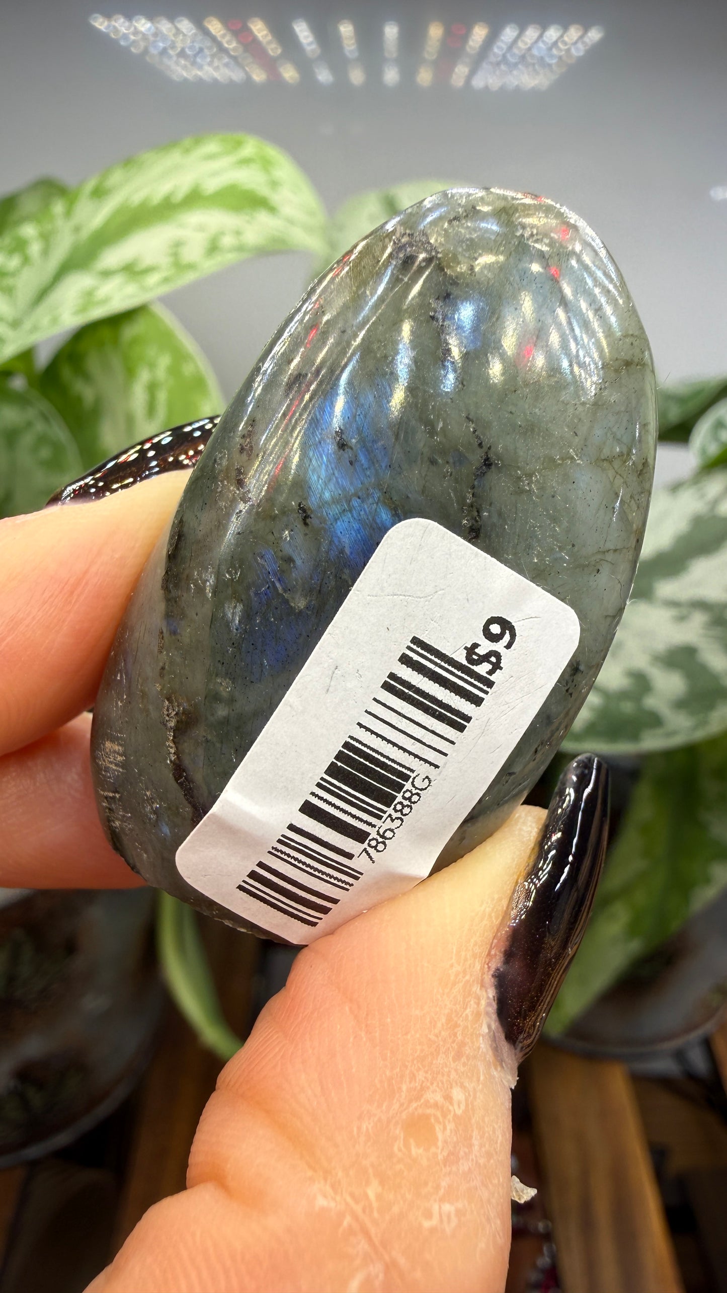 Labradorite Crystal Buddy
