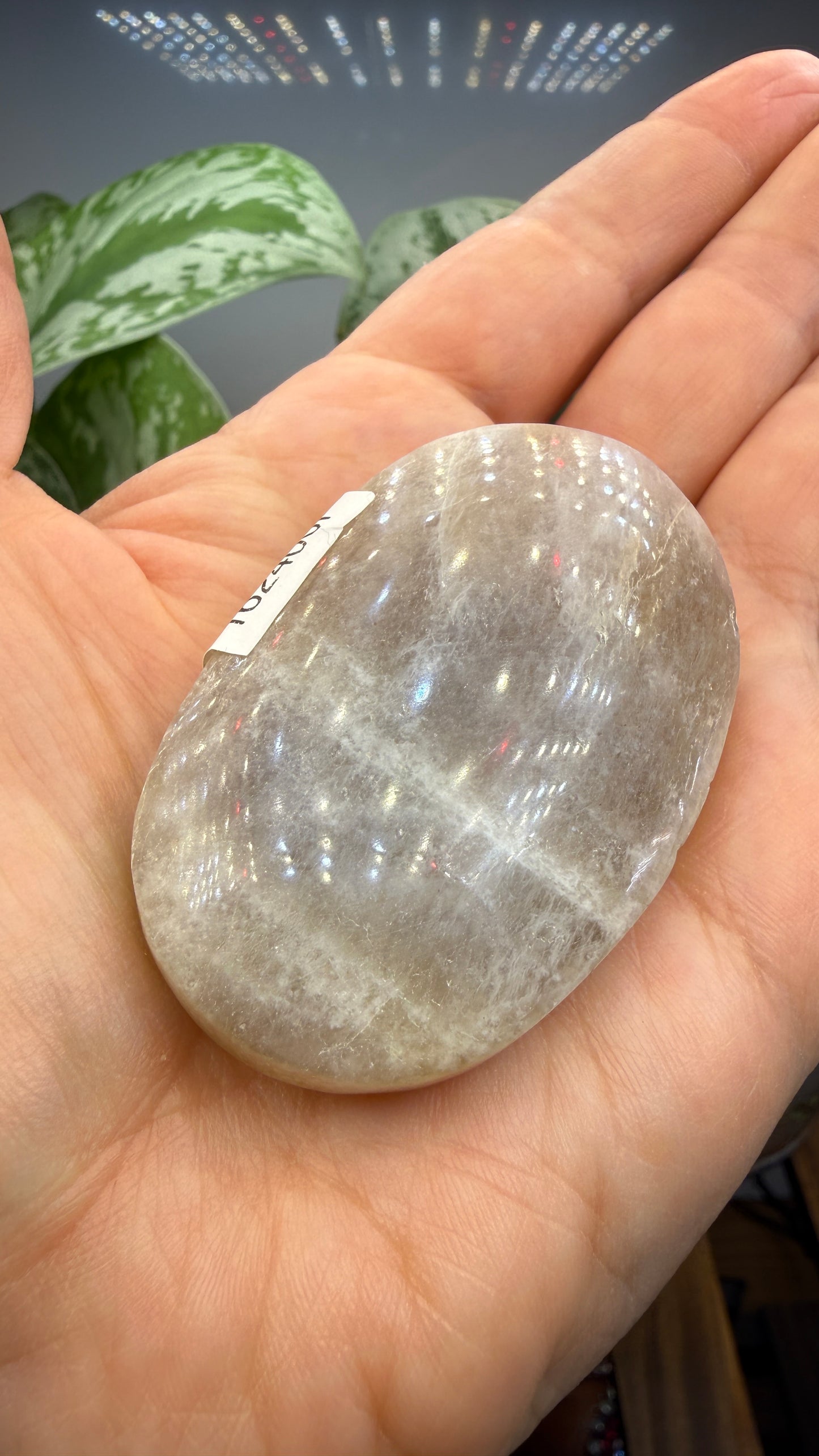 White Moonstone Palm Stone