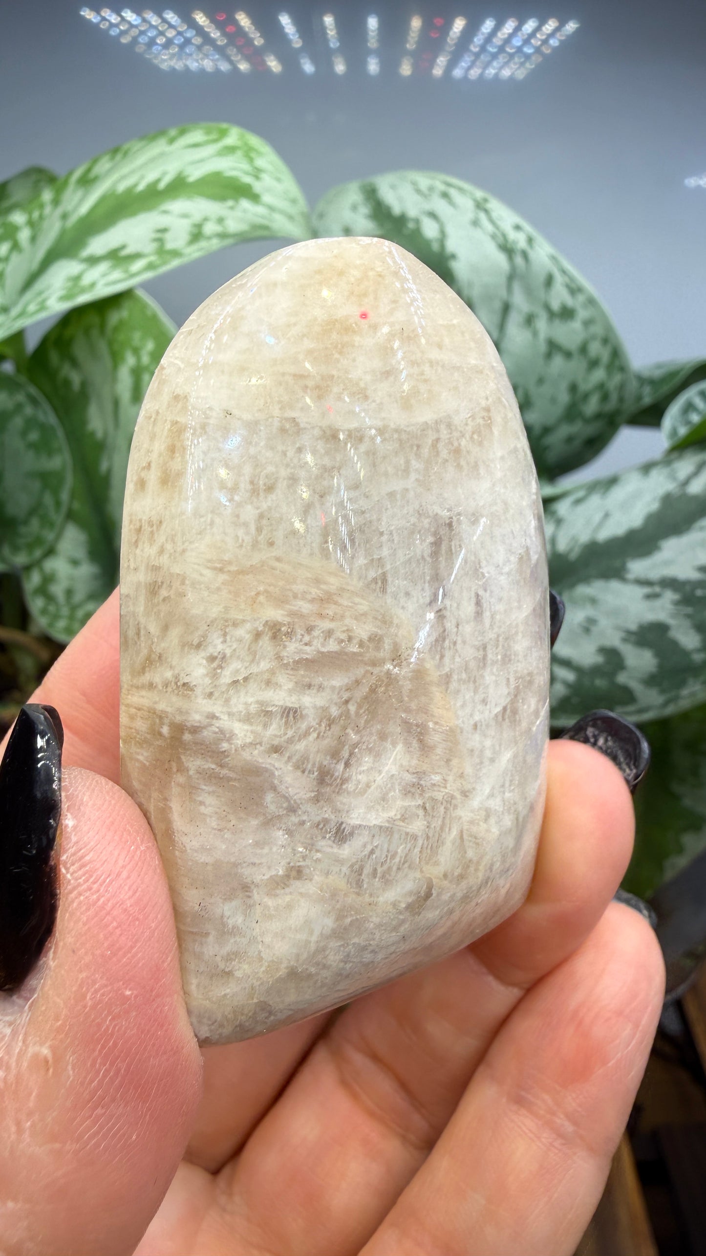 White Moonstone Palm Stone