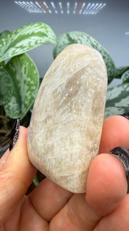 White Moonstone Palm Stone