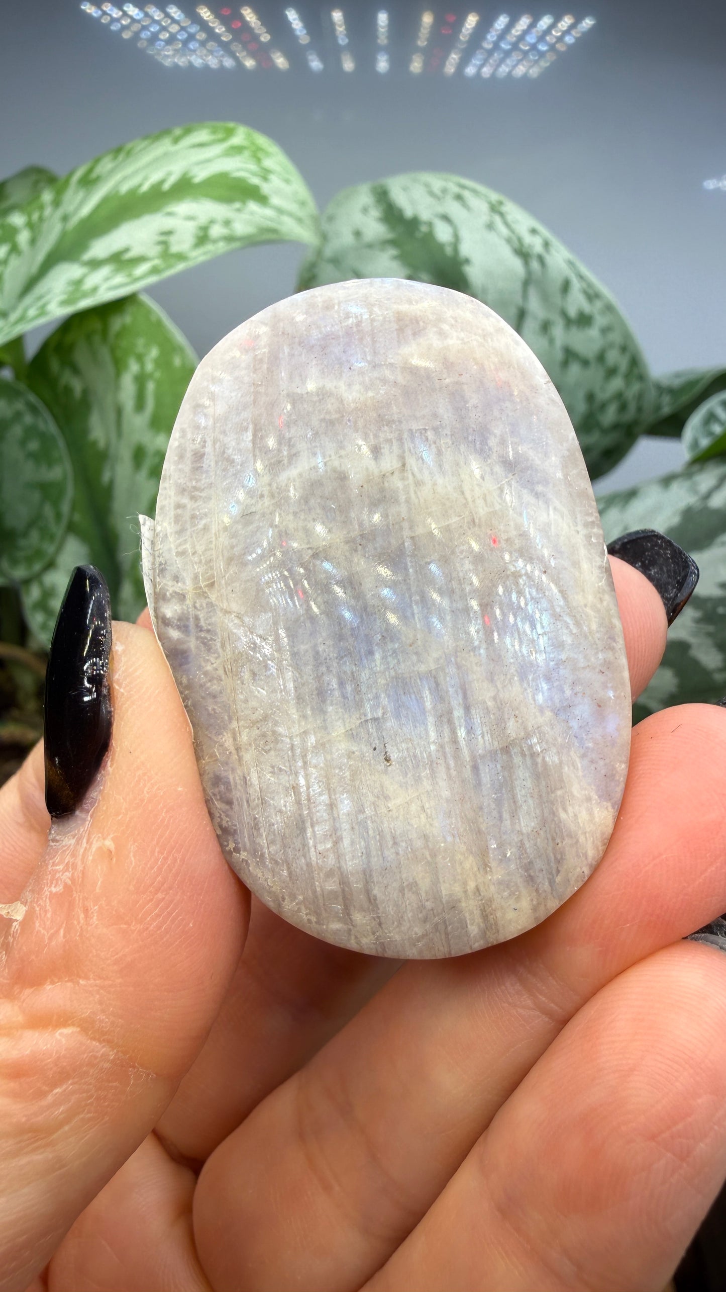 White Moonstone Palm Stone