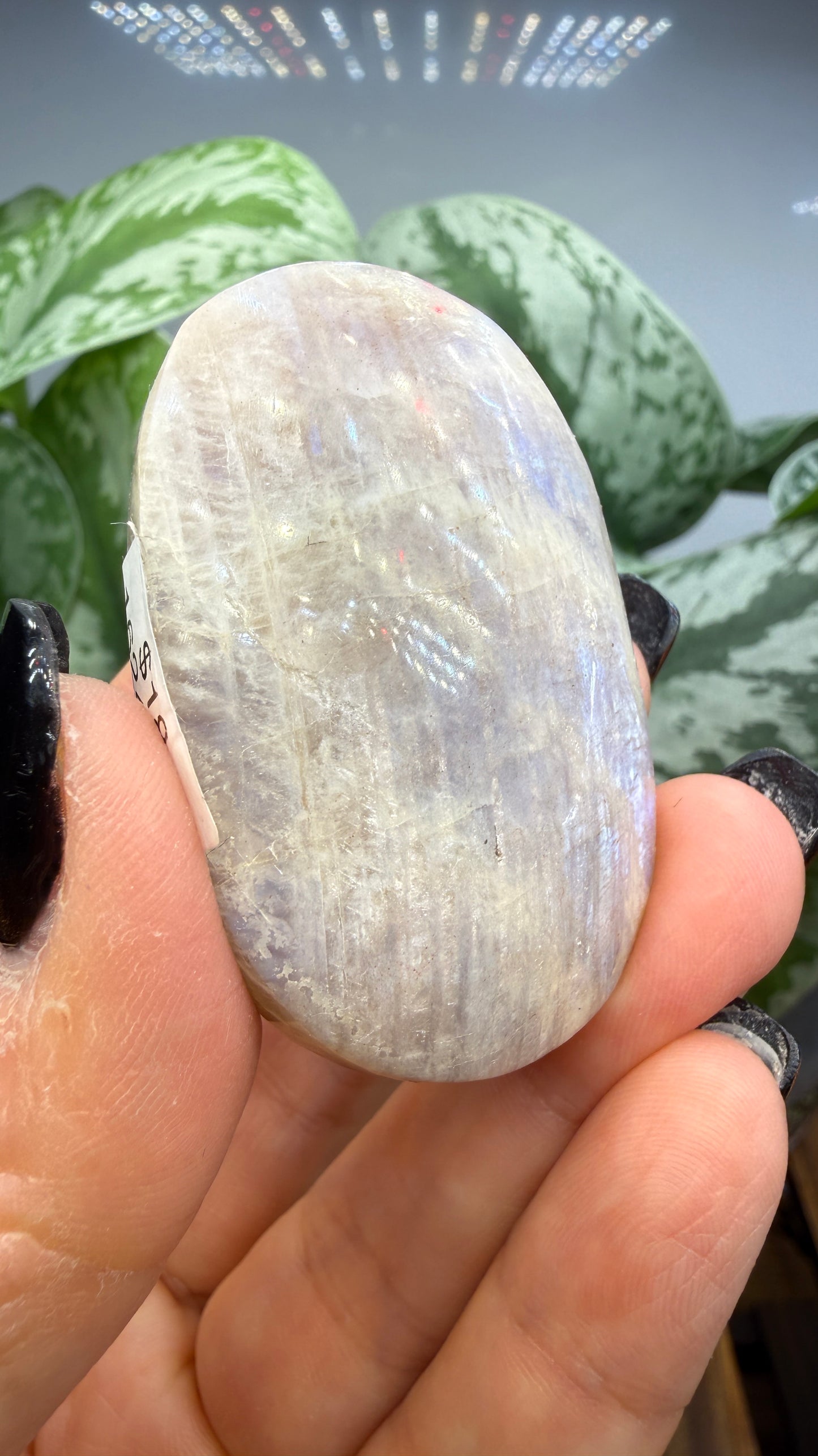 White Moonstone Palm Stone
