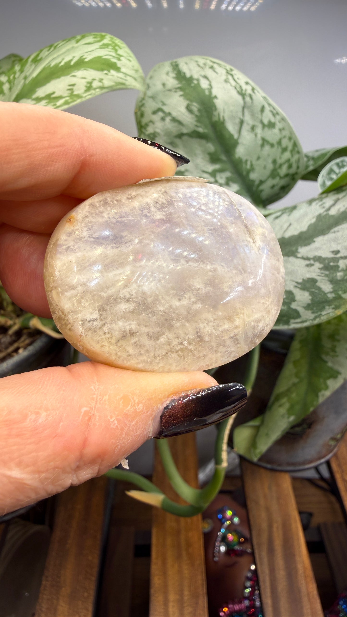 White Moonstone Palm Stone