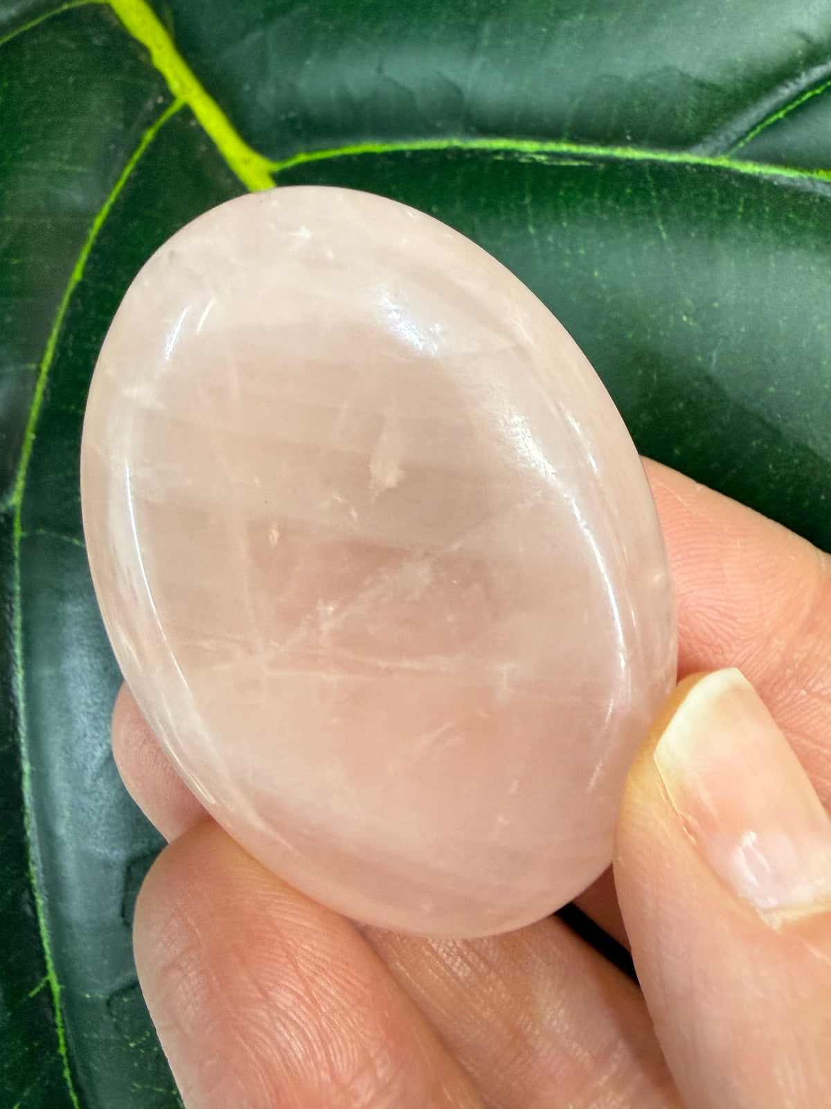 Rose Quartz Palm Stone- Brazil